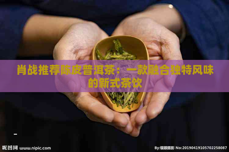 肖战推荐陈皮普洱茶：一款融合独特风味的新式茶饮