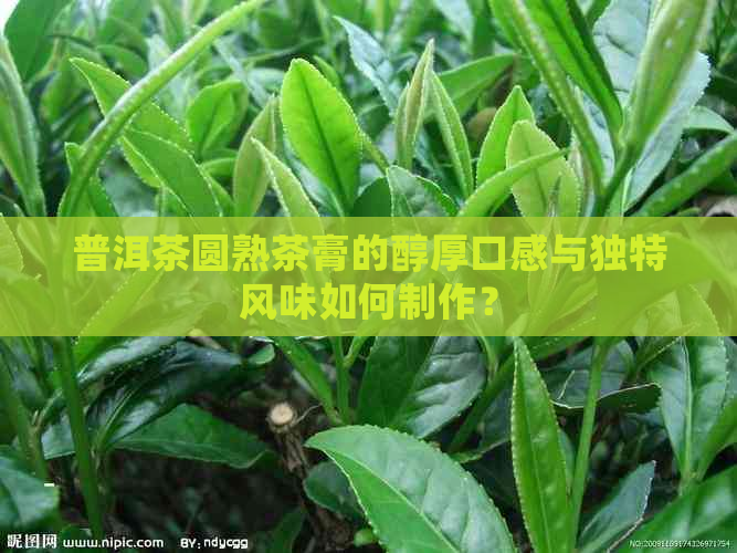 普洱茶圆熟茶膏的醇厚口感与独特风味如何制作？