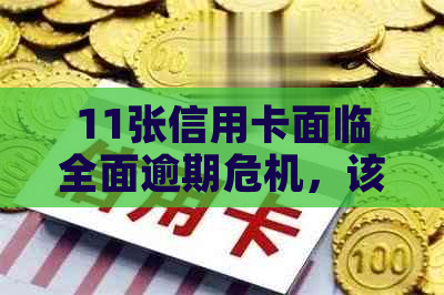 11张信用卡面临全面逾期危机，该如何迅速应对？