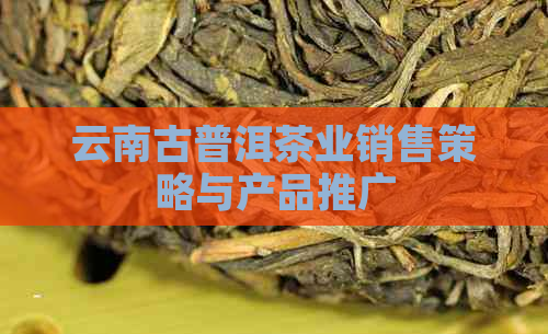 云南古普洱茶业销售策略与产品推广