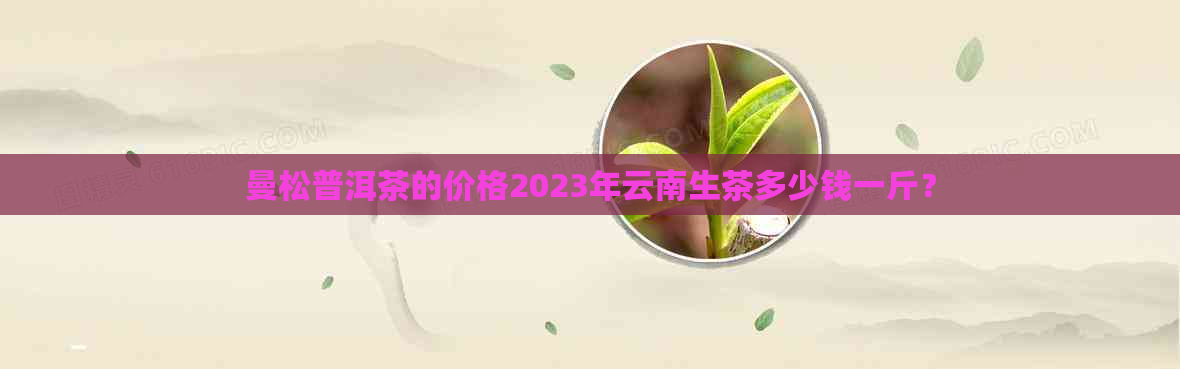 曼松普洱茶的价格2023年云南生茶多少钱一斤？