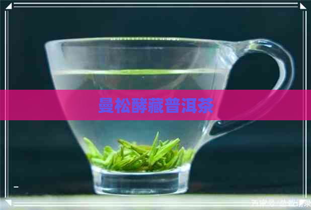 曼松酵藏普洱茶