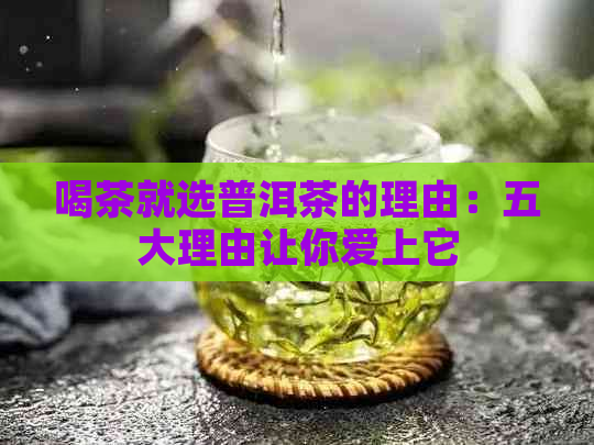 喝茶就选普洱茶的理由：五大理由让你爱上它