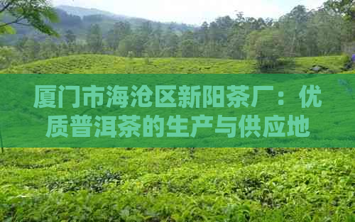 厦门市海沧区新阳茶厂：优质普洱茶的生产与供应地址及企业信息查询