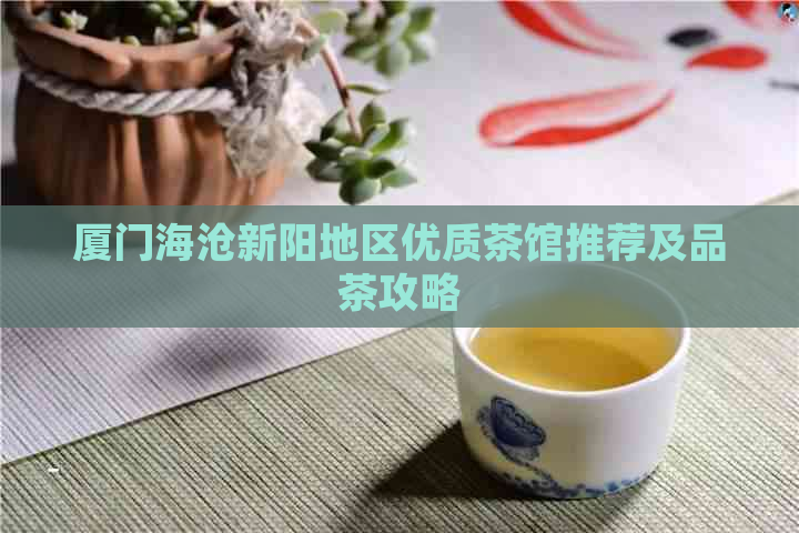 厦门海沧新阳地区优质茶馆推荐及品茶攻略