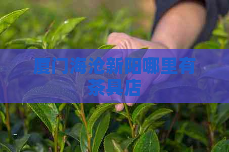 厦门海沧新阳哪里有茶具店