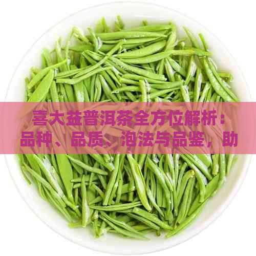 喜大益普洱茶全方位解析：品种、品质、泡法与品鉴，助您成为普洱茶专家