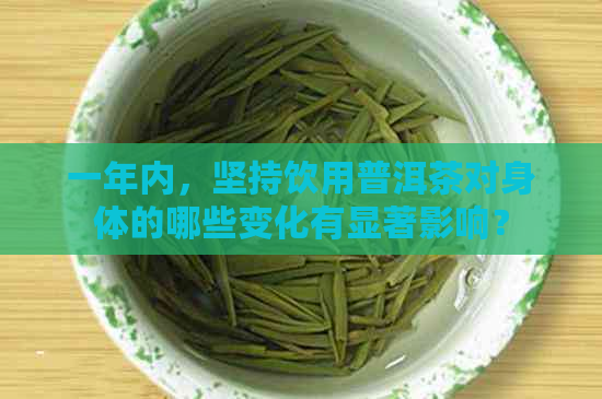 一年内，坚持饮用普洱茶对身体的哪些变化有显著影响？