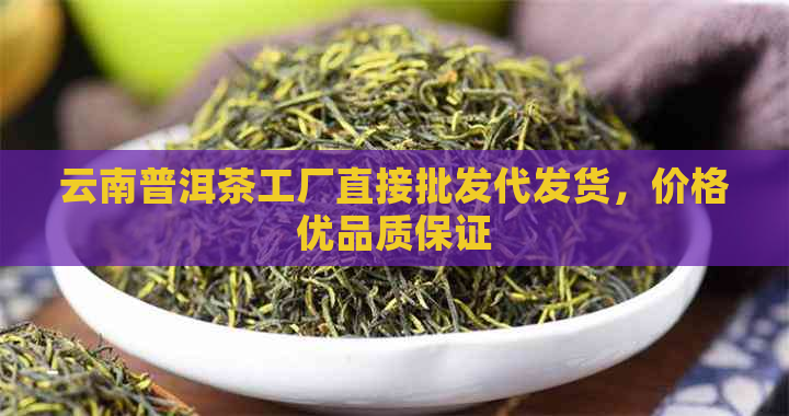 云南普洱茶工厂直接批发代发货，价格优品质保证