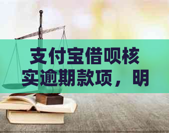 支付宝借呗核实逾期款项，明天下午将上门