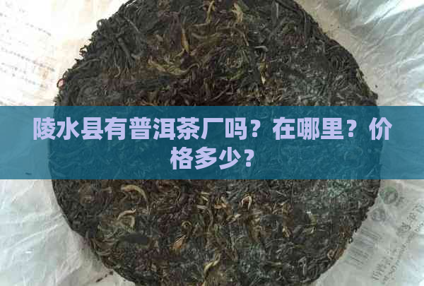 陵水县有普洱茶厂吗？在哪里？价格多少？