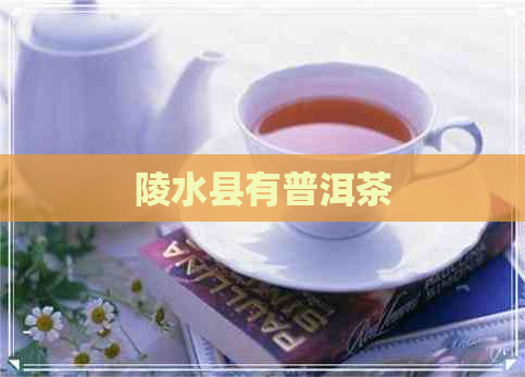 陵水县有普洱茶