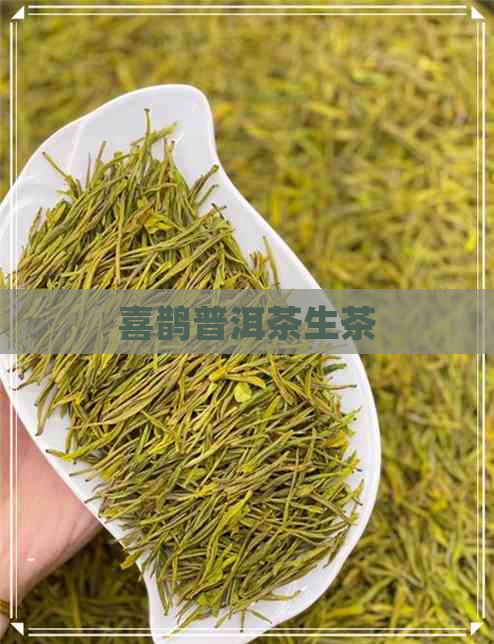 喜鹊普洱茶生茶