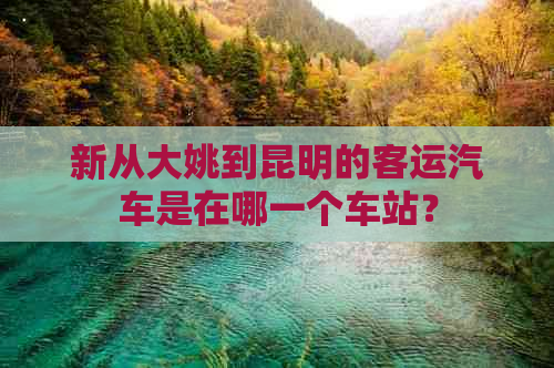 新从大姚到昆明的客运汽车是在哪一个车站？