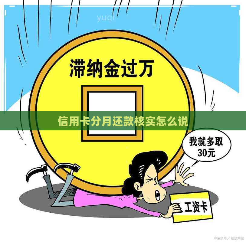 信用卡分月还款核实怎么说