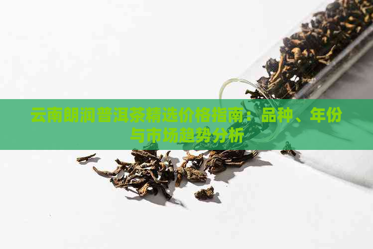 云南朗润普洱茶精选价格指南：品种、年份与市场趋势分析