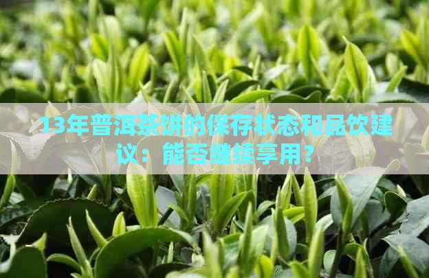 13年普洱茶饼的保存状态和品饮建议：能否继续享用？