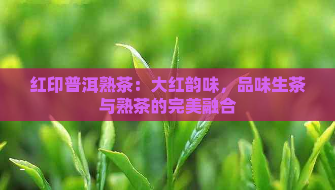 红印普洱熟茶：大红韵味，品味生茶与熟茶的完美融合