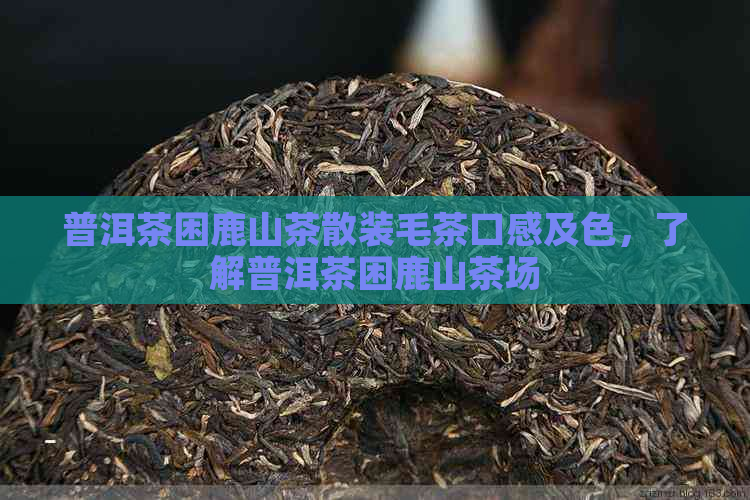 普洱茶困鹿山茶散装毛茶口感及色，了解普洱茶困鹿山茶场