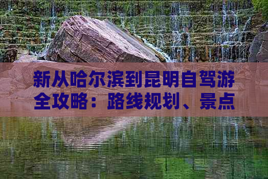 新从哈尔滨到昆明自驾游全攻略：路线规划、景点推荐、住宿及美食一应俱全！