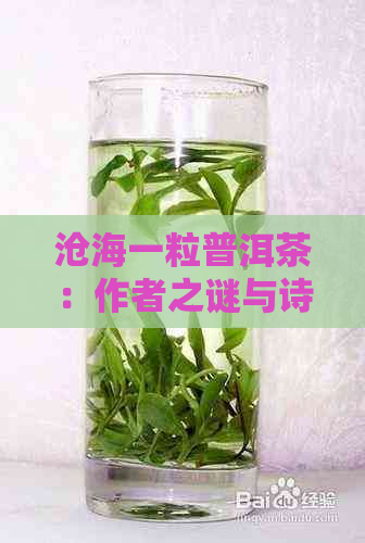 沧海一粒普洱茶：作者之谜与诗意解析