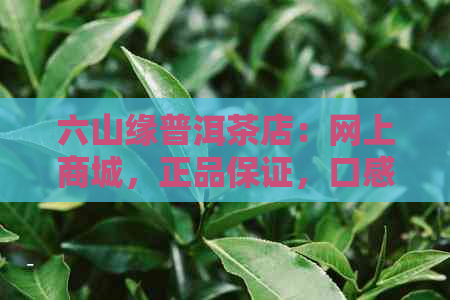 六山缘普洱茶店：网上商城，正品保证，口感醇厚，值得购买！