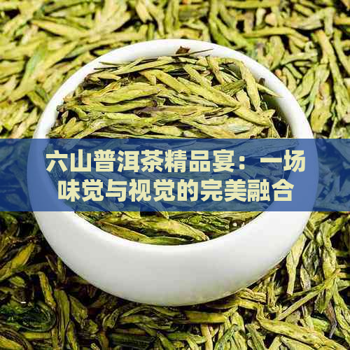 六山普洱茶精品宴：一场味觉与视觉的完美融合