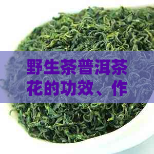 野生茶普洱茶花的功效、作用与口感评价