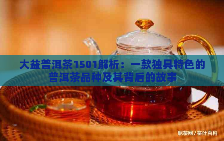 大益普洱茶1501解析：一款独具特色的普洱茶品种及其背后的故事