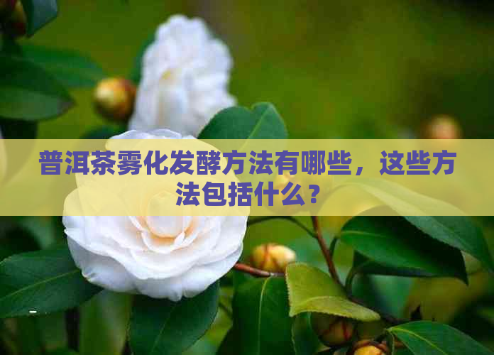 普洱茶雾化发酵方法有哪些，这些方法包括什么？