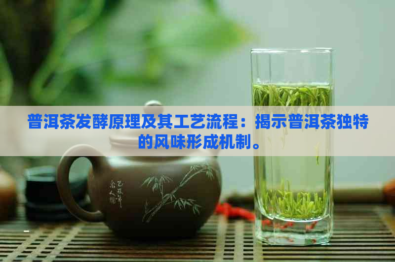 普洱茶发酵原理及其工艺流程：揭示普洱茶独特的风味形成机制。