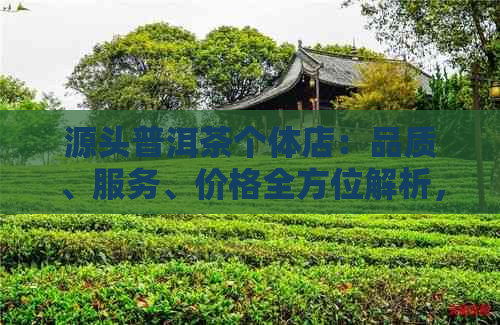 源头普洱茶个体店：品质、服务、价格全方位解析，为您挑选最合适的茶叶店铺