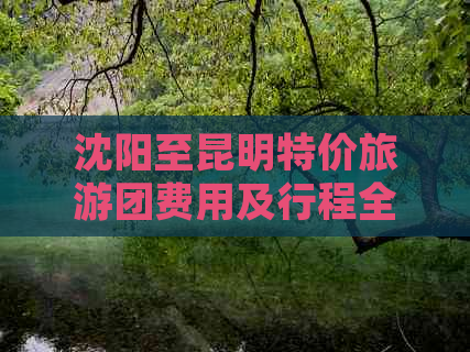 沈阳至昆明特价旅游团费用及行程全解析，助您轻松规划完美旅行！