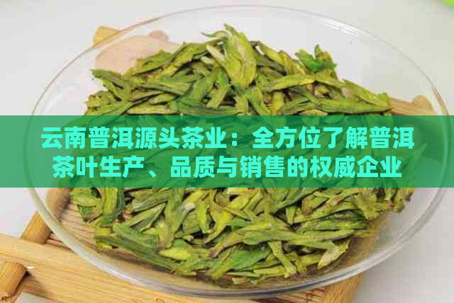 云南普洱源头茶业：全方位了解普洱茶叶生产、品质与销售的权威企业