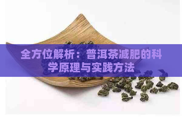 全方位解析：普洱茶减肥的科学原理与实践方法