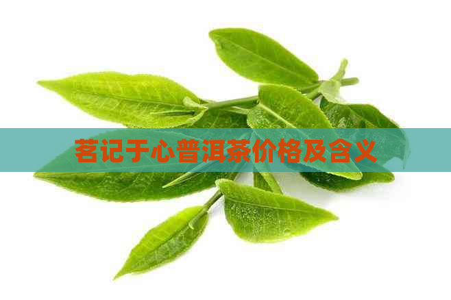 茗记于心普洱茶价格及含义