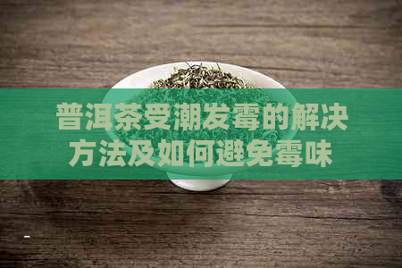 普洱茶受潮发霉的解决方法及如何避免霉味