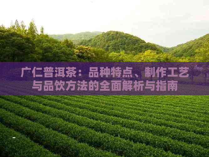 广仁普洱茶：品种特点、制作工艺与品饮方法的全面解析与指南