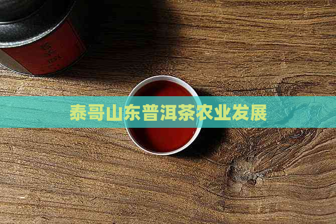 泰哥山东普洱茶农业发展