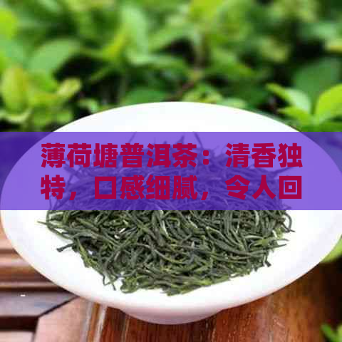 薄荷塘普洱茶：清香独特，口感细腻，令人回味无穷