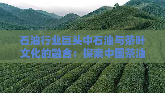 石     业巨头中石油与茶叶文化的融合：探索中国茶油新潮流