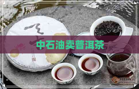 中石油卖普洱茶