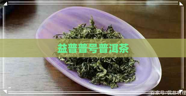 益普普号普洱茶