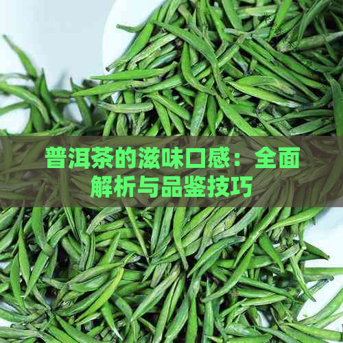 普洱茶的滋味口感：全面解析与品鉴技巧