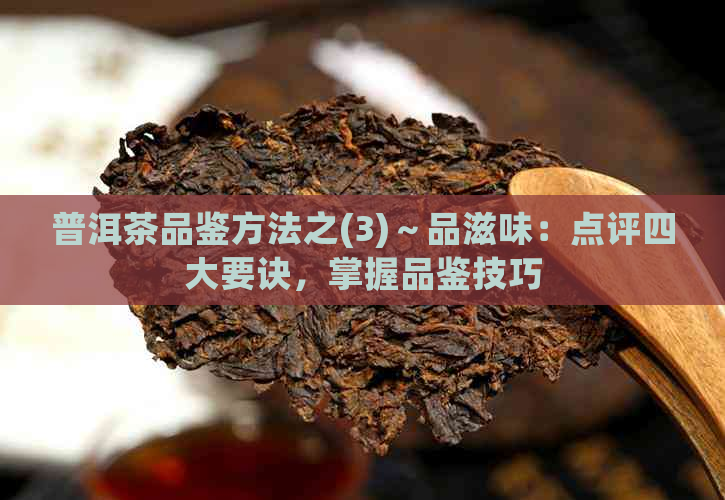 普洱茶品鉴方法之(3)～品滋味：点评四大要诀，掌握品鉴技巧