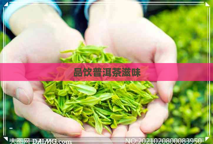 品饮普洱茶滋味