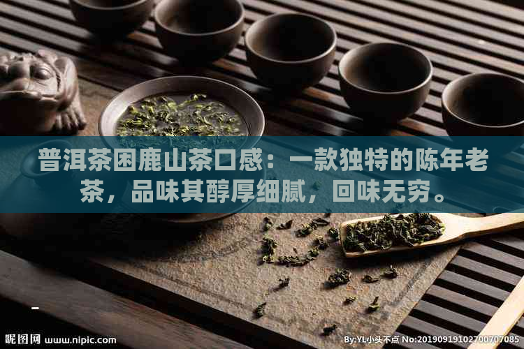 普洱茶困鹿山茶口感：一款独特的陈年老茶，品味其醇厚细腻，回味无穷。