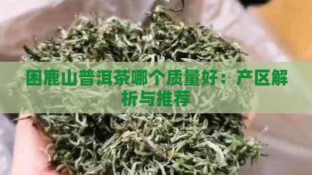 困鹿山普洱茶哪个质量好：产区解析与推荐