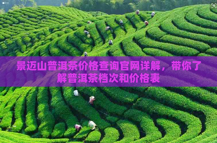 景迈山普洱茶价格查询官网详解，带你了解普洱茶档次和价格表