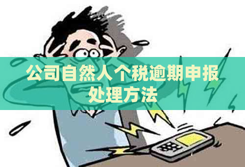 公司自然人个税逾期申报处理方法